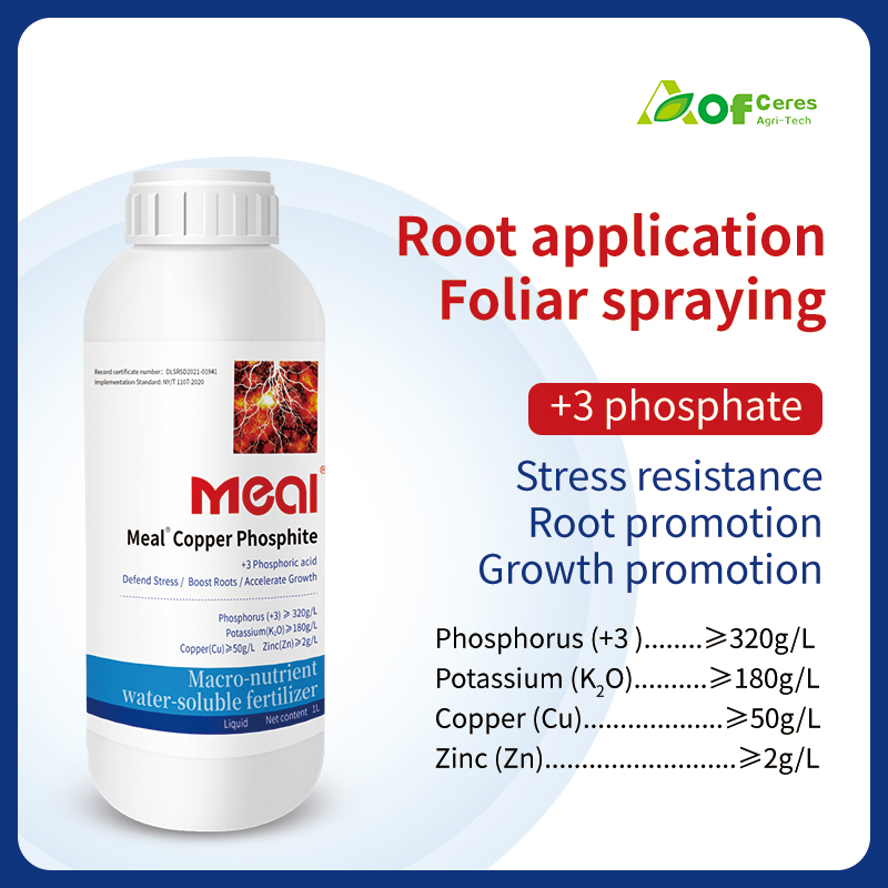 Meal® Copper phosphite